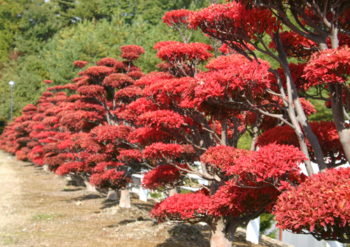 �H�F���J�@'2013