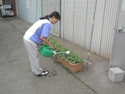 �傫���Ȃ���B