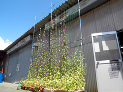 �܂��܂��K���o�邼�I