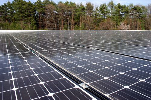 ���z�����d